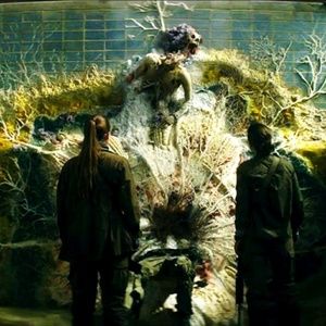 Meet your Posher, Mason